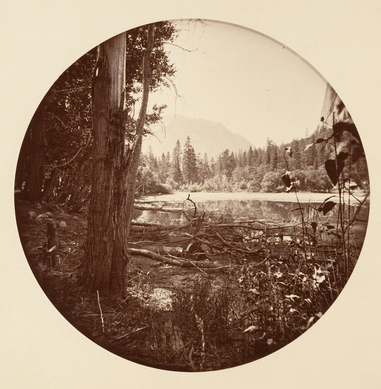 [Yosemite nasjonalpark, California], ca. 1878. av Carleton Emmons Watkins
