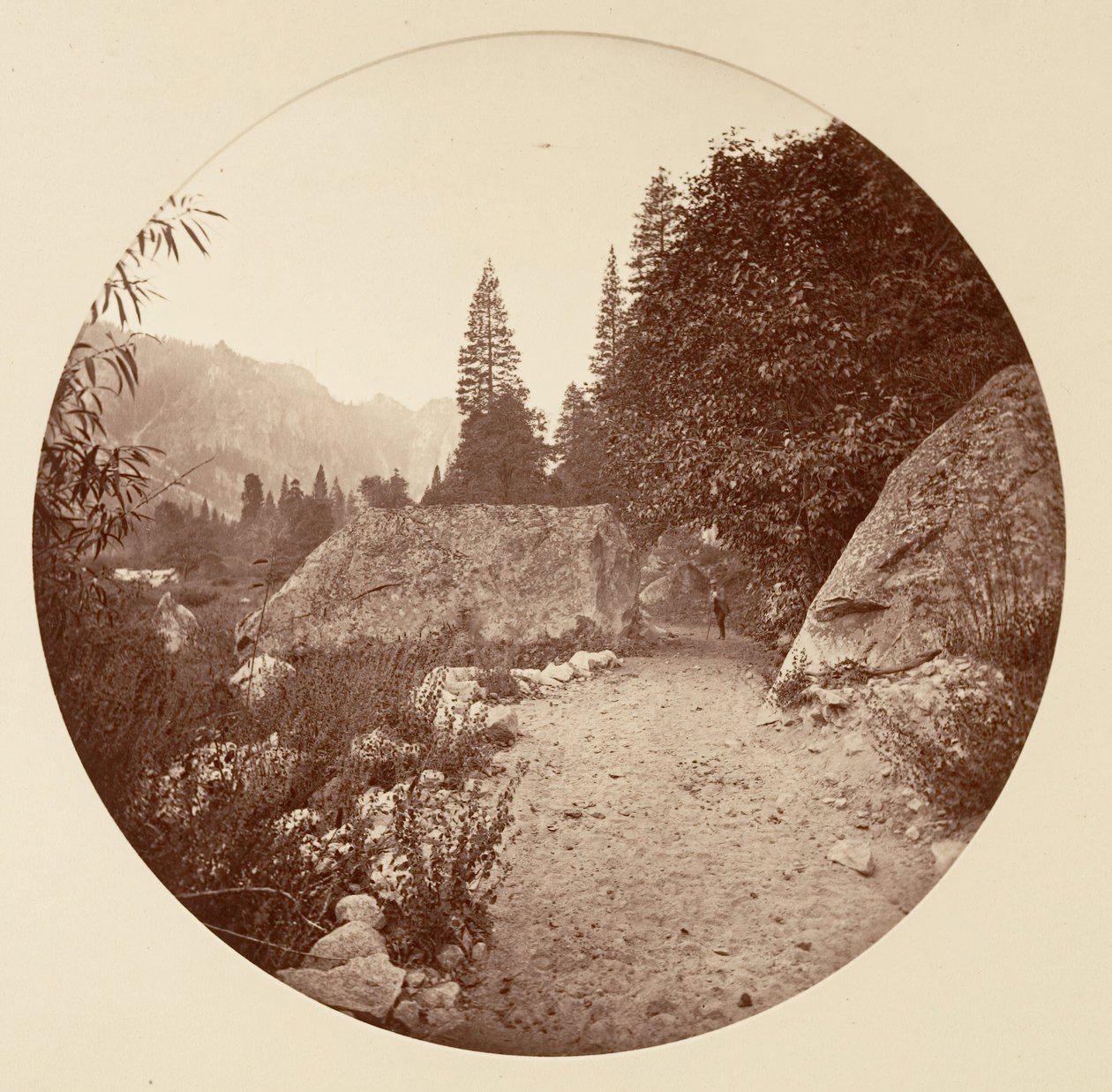 [Yosemite nasjonalpark, California], ca. 1878. av Carleton Emmons Watkins