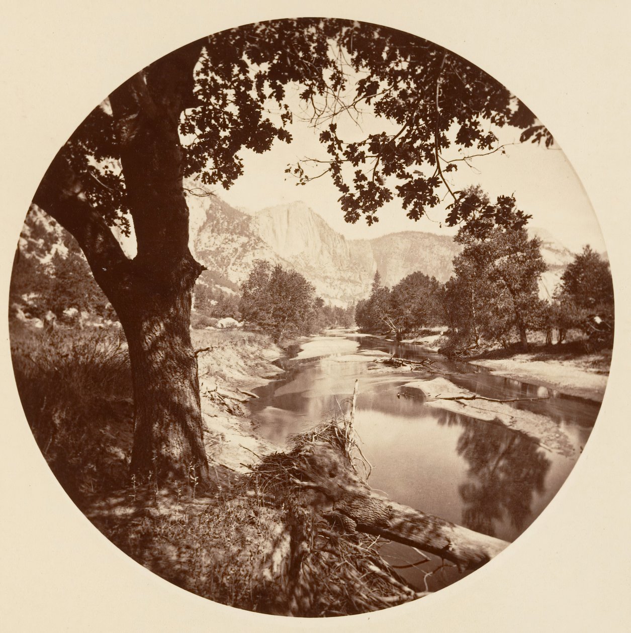 [Yosemite nasjonalpark, California], ca. 1878. av Carleton Emmons Watkins