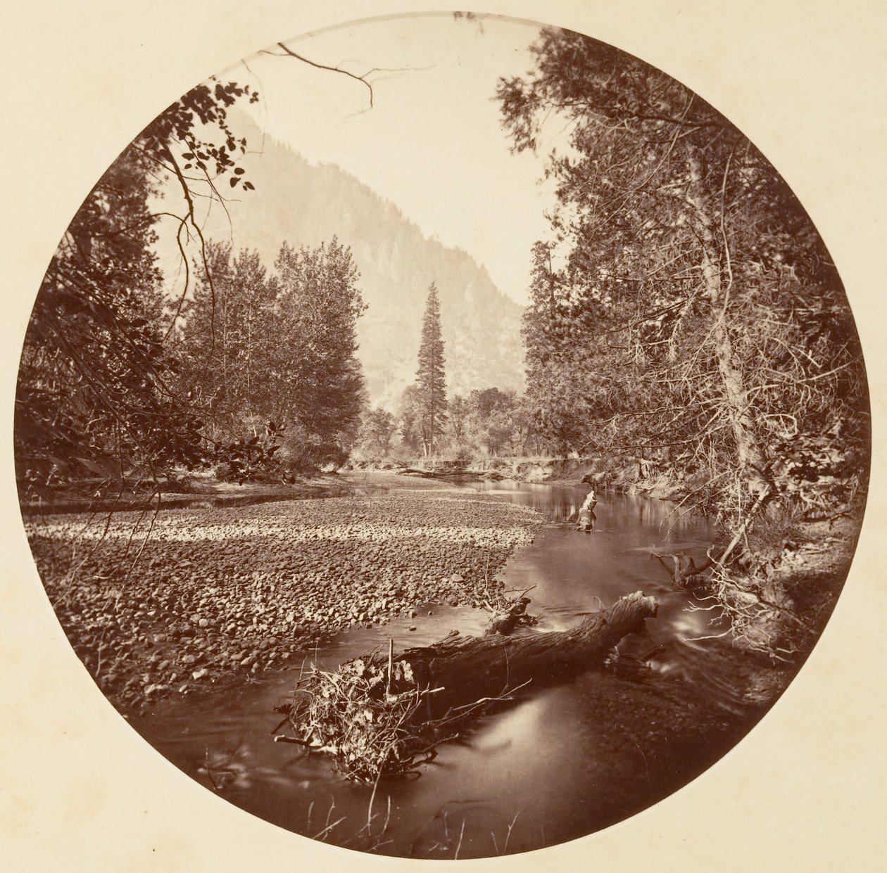 [Yosemite nasjonalpark, California], ca. 1878. av Carleton Emmons Watkins