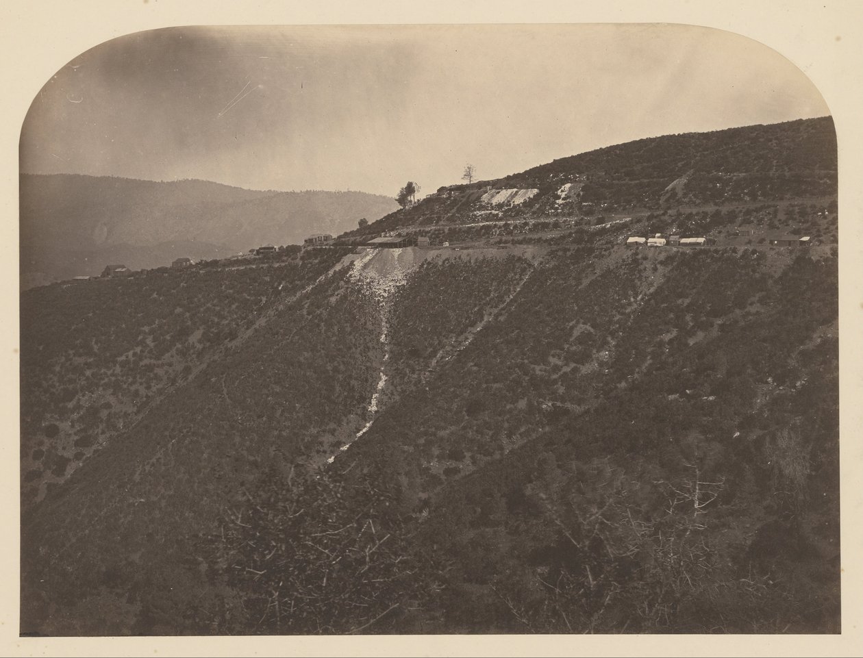 (Pine Tree Mine) av Carleton Watkins