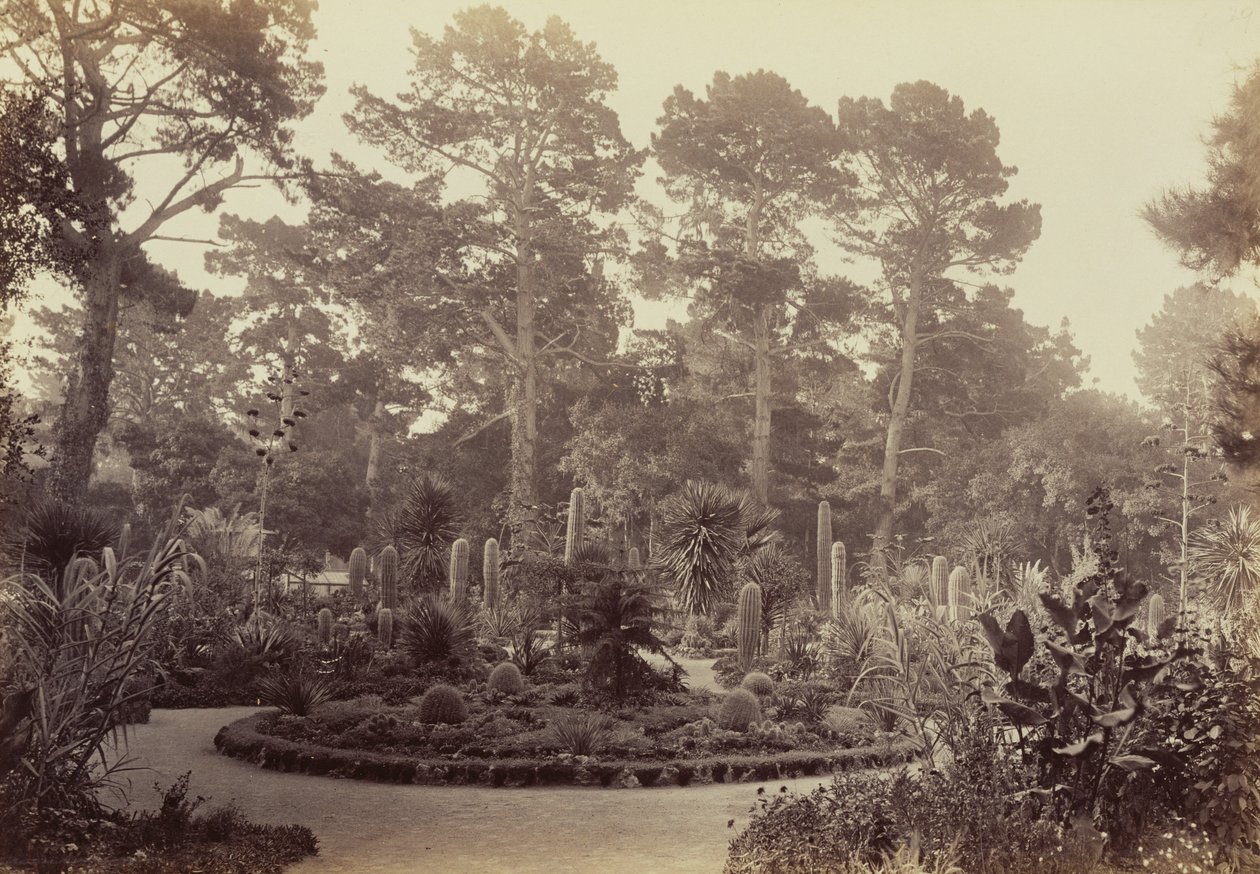 [Arizona-hagen, Hotel del Monte, Monterey] av Carleton Watkins