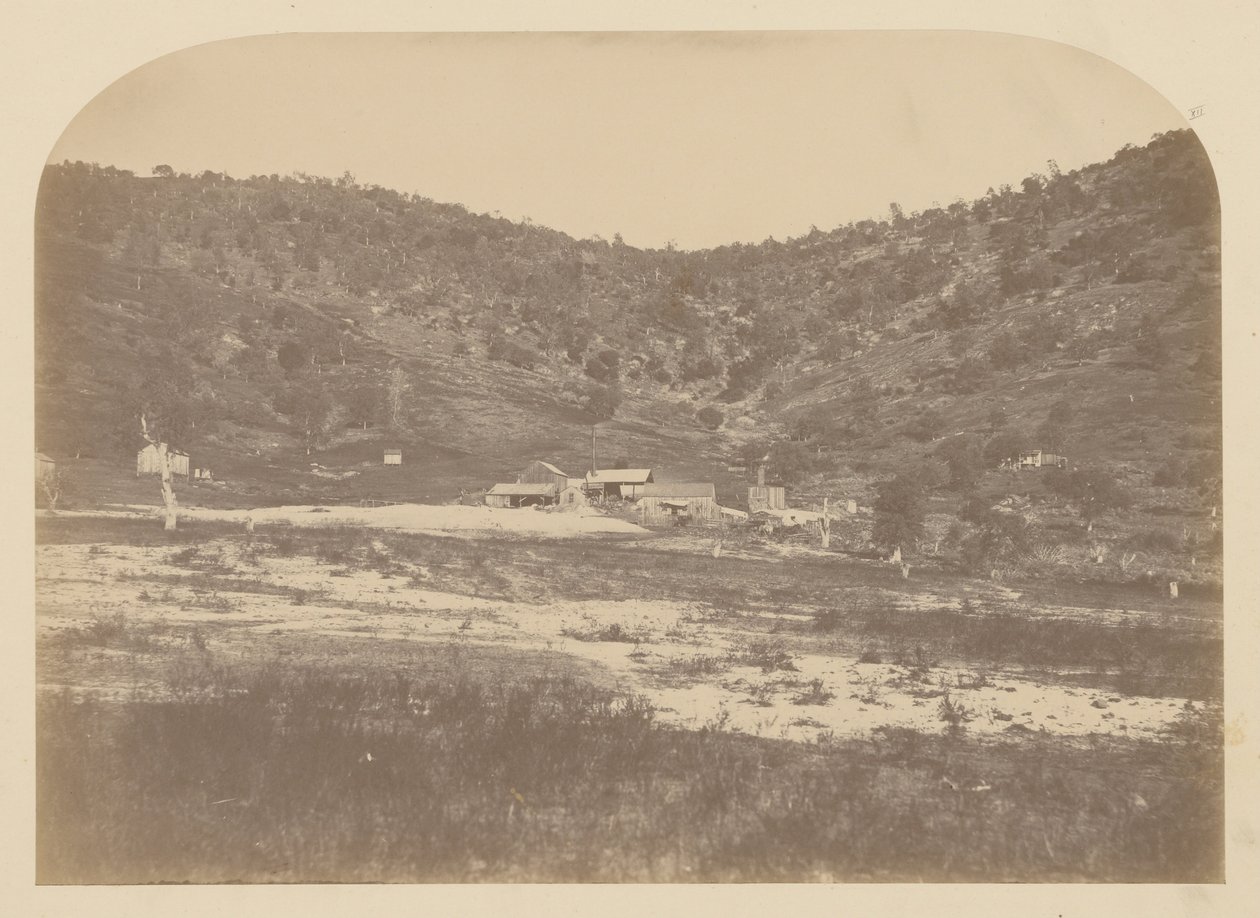 Bear Valley Mill av Carleton Watkins