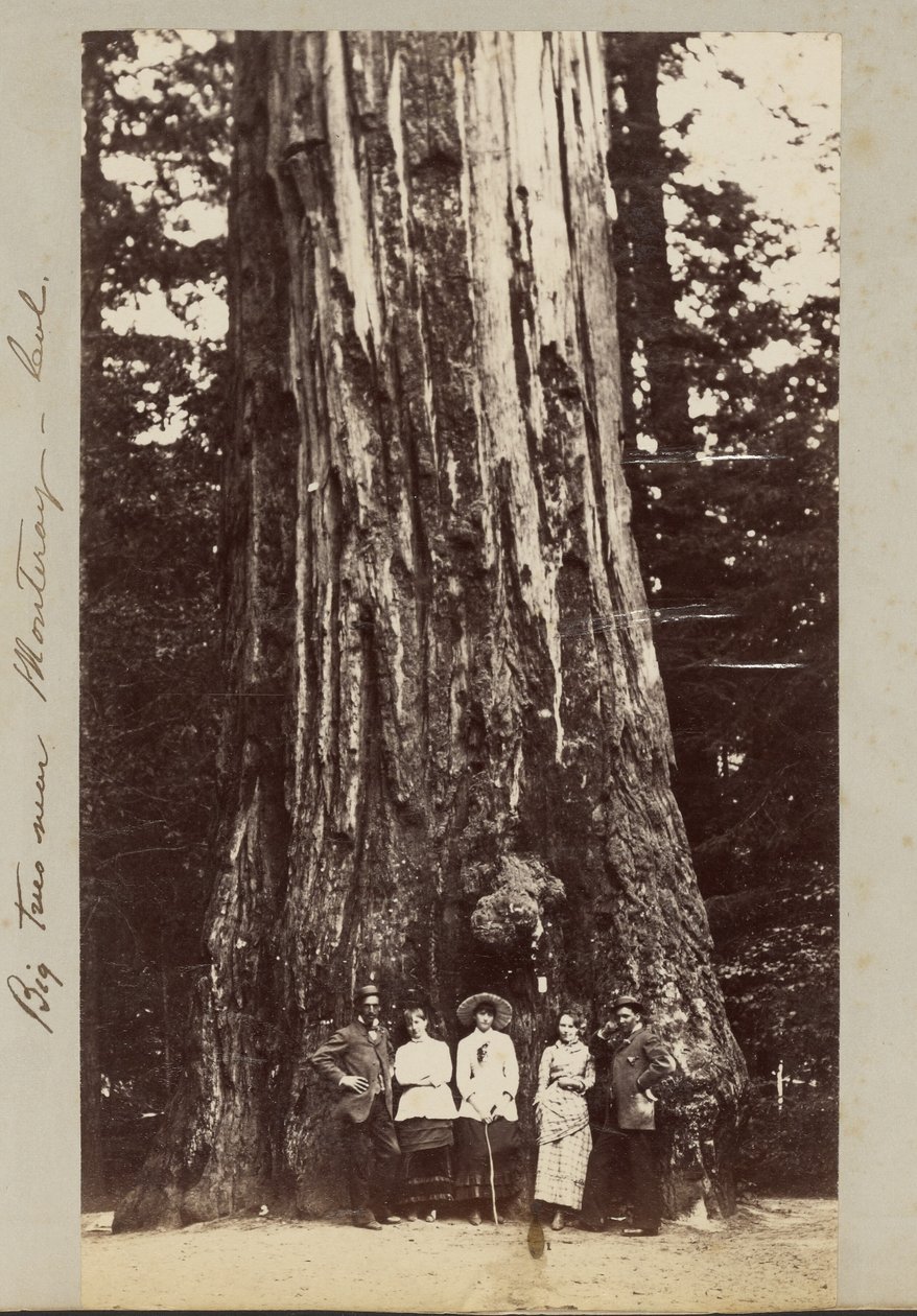  av Carleton Watkins