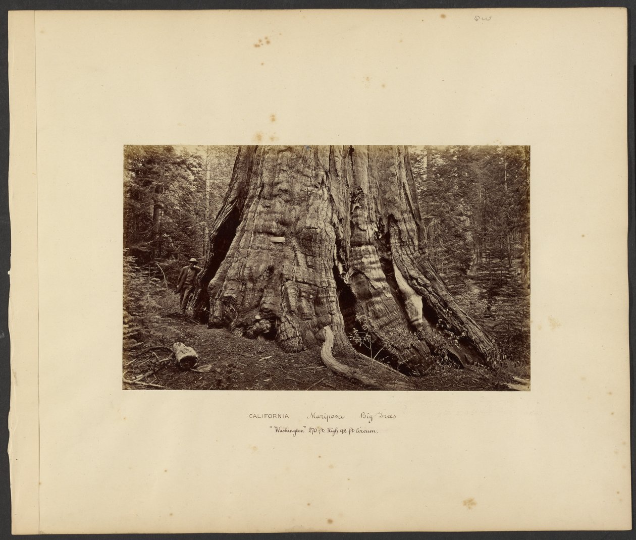  av Carleton Watkins