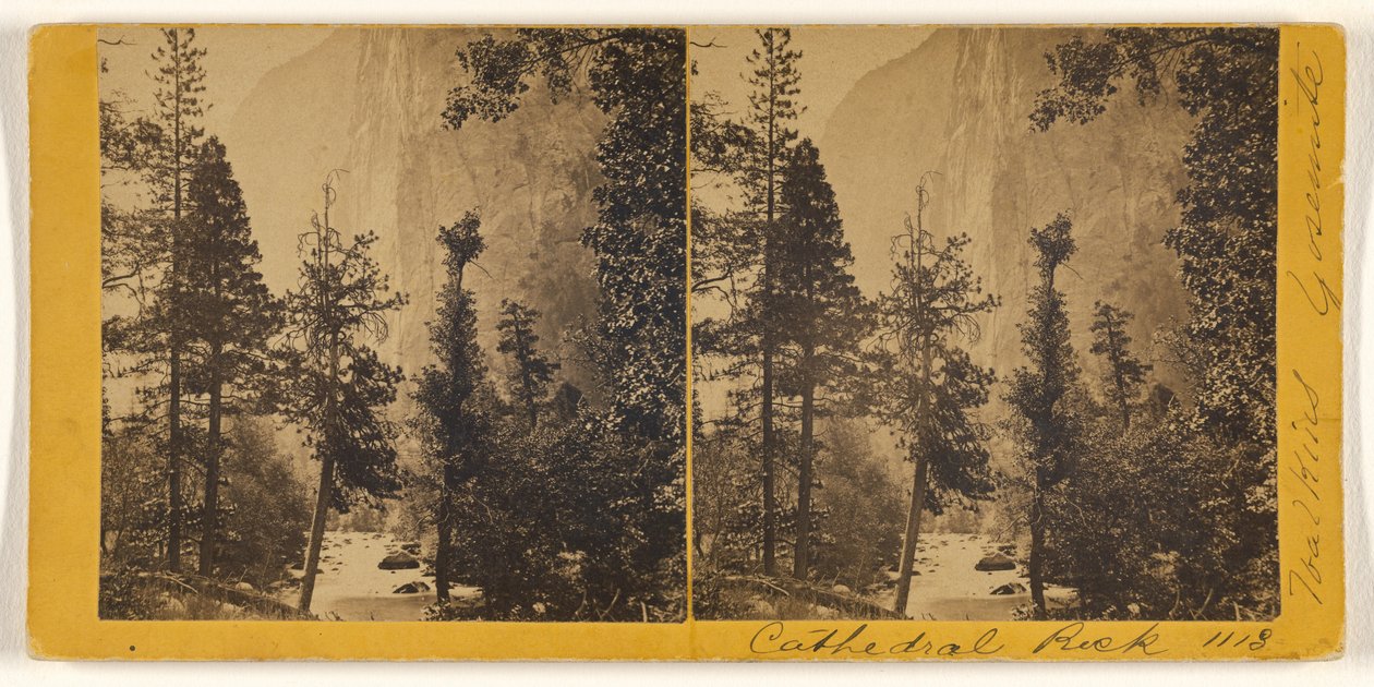  av Carleton Watkins