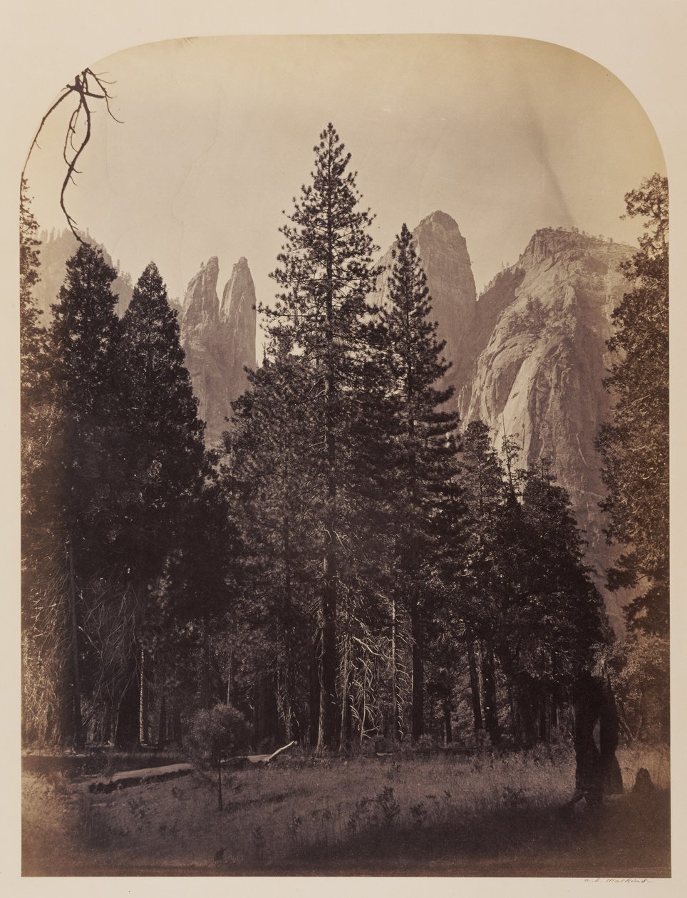 Katedralspir - Yosemite av Carleton Watkins