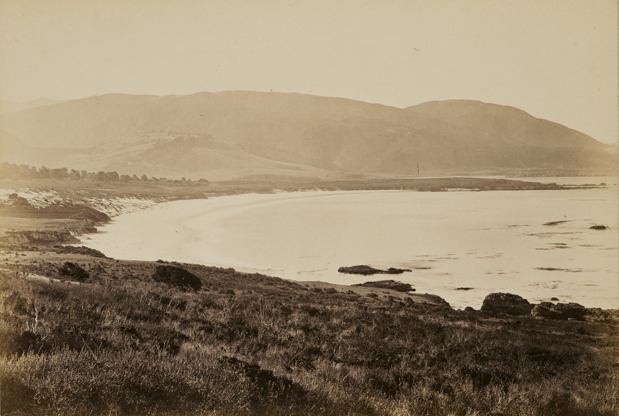 [Kystutsikt, Monterey] av Carleton Watkins
