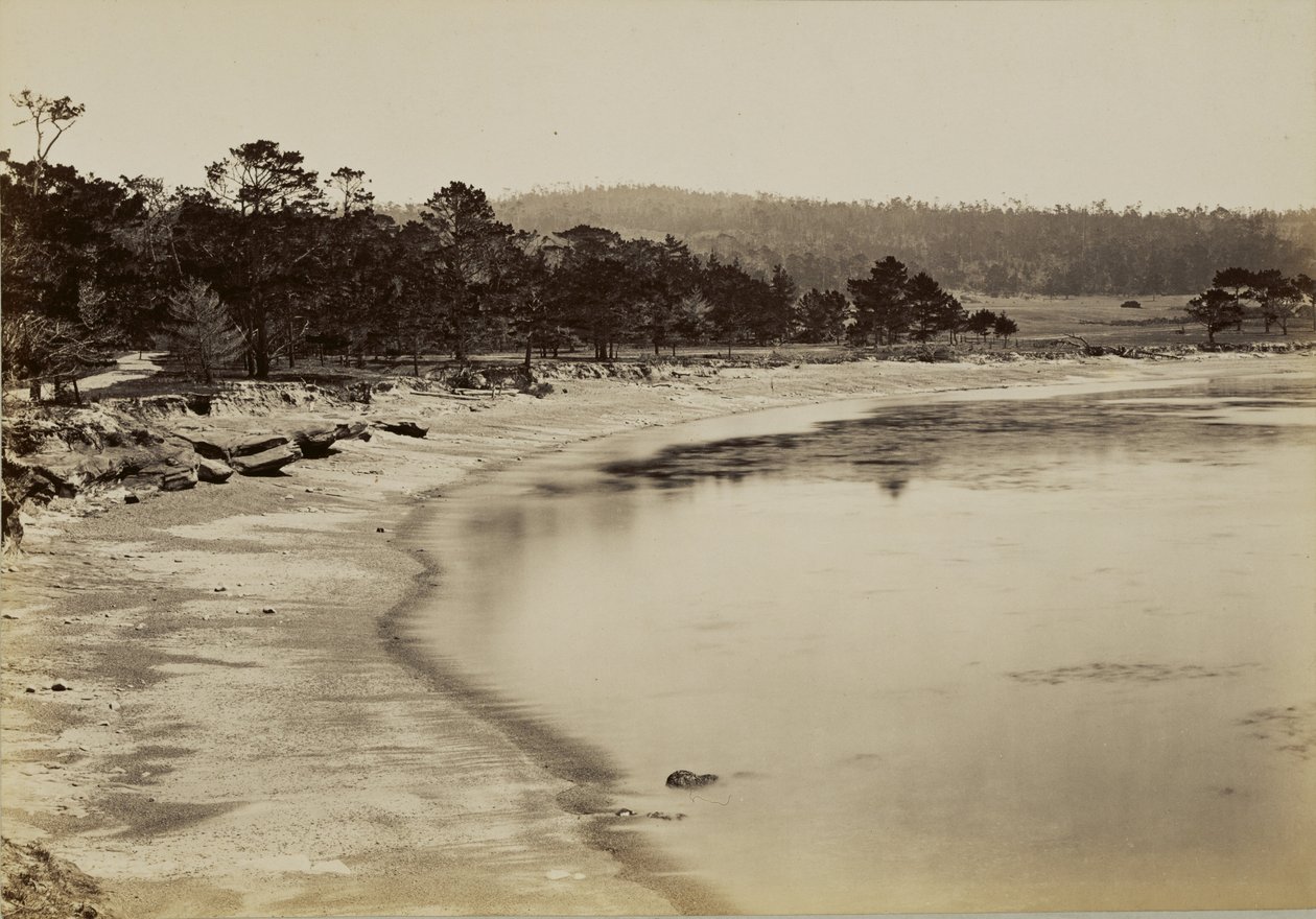 [Kystutsikt nær Monterey] av Carleton Watkins