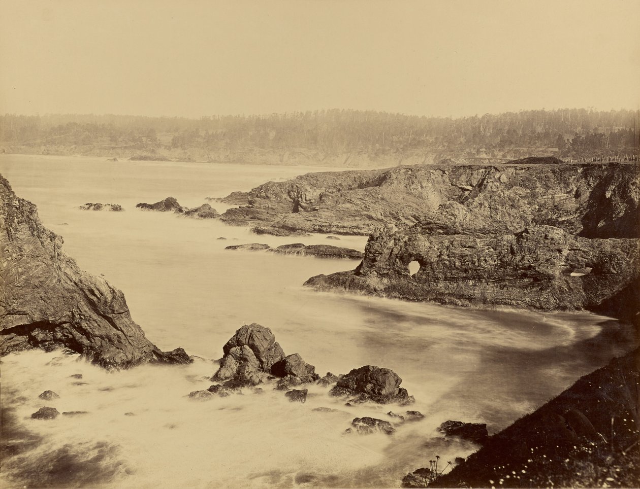  av Carleton Watkins