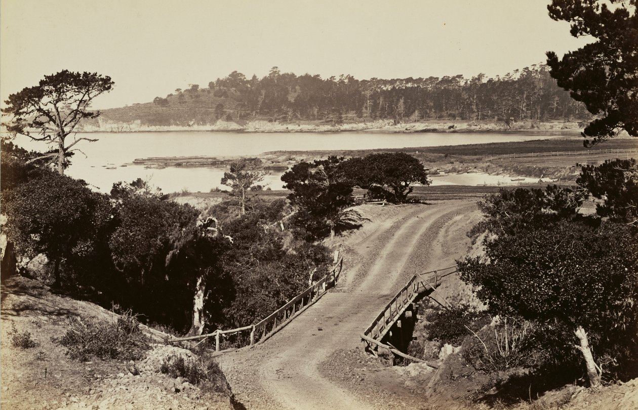  av Carleton Watkins