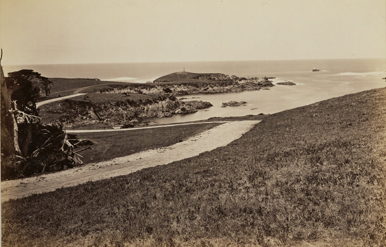 Kystutsikt nær Monterey av Carleton Watkins