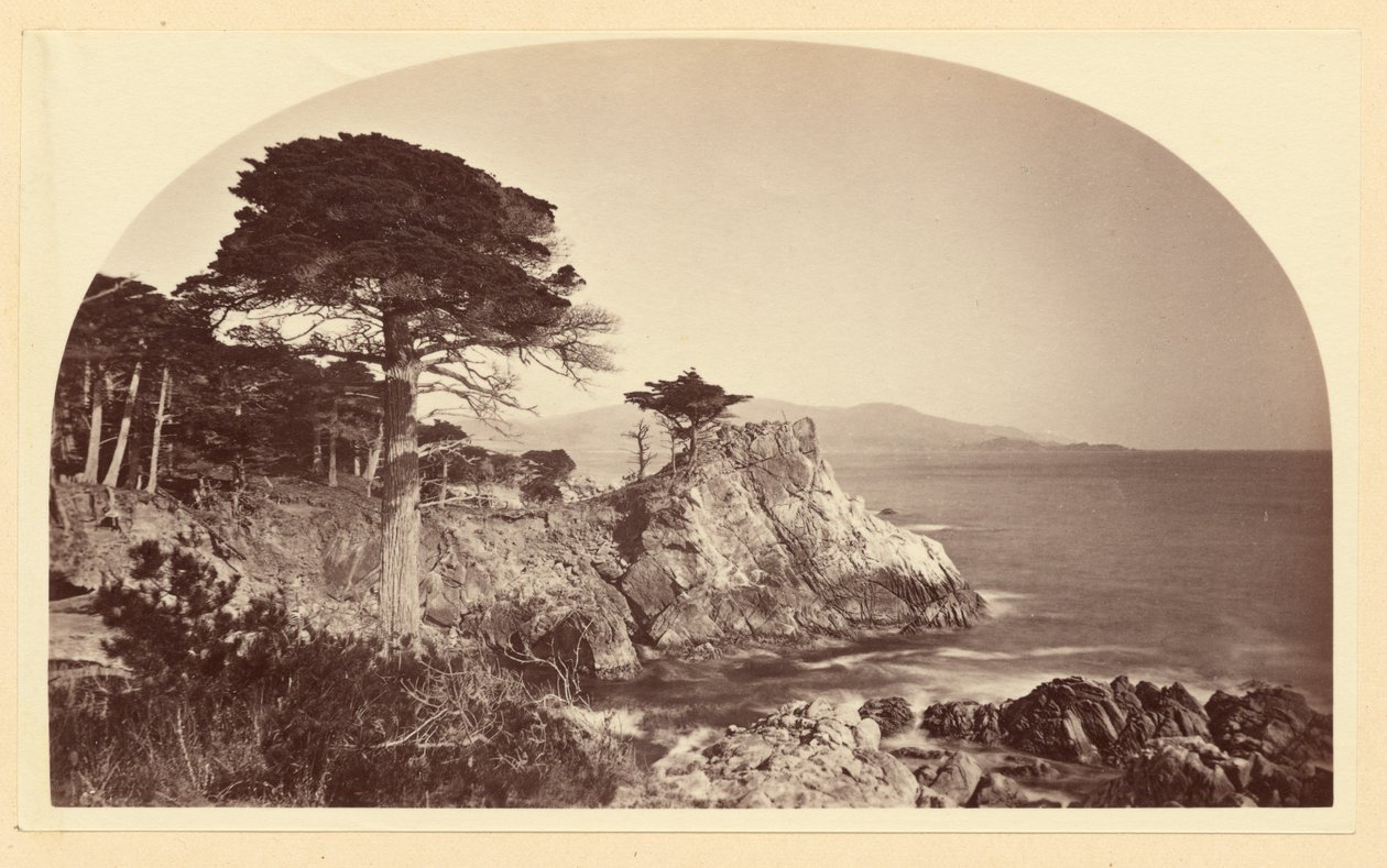 [Cypress Point fra Cypress Drive, Monterey, California] av Carleton Watkins