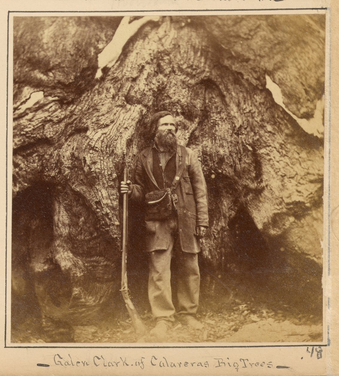 Galen Clark, Esq., Mariposa Grove, Mariposa County, California av Carleton Watkins