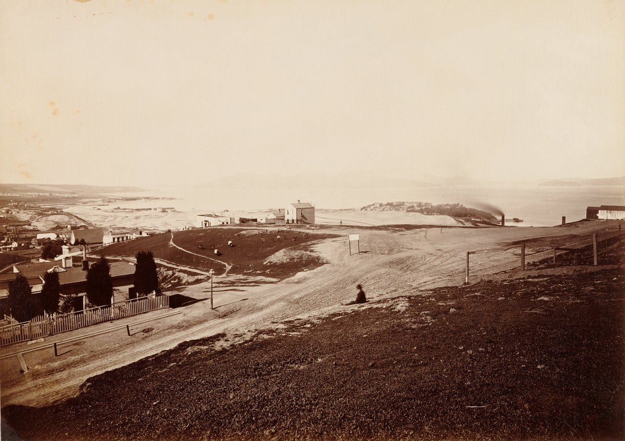  av Carleton Watkins