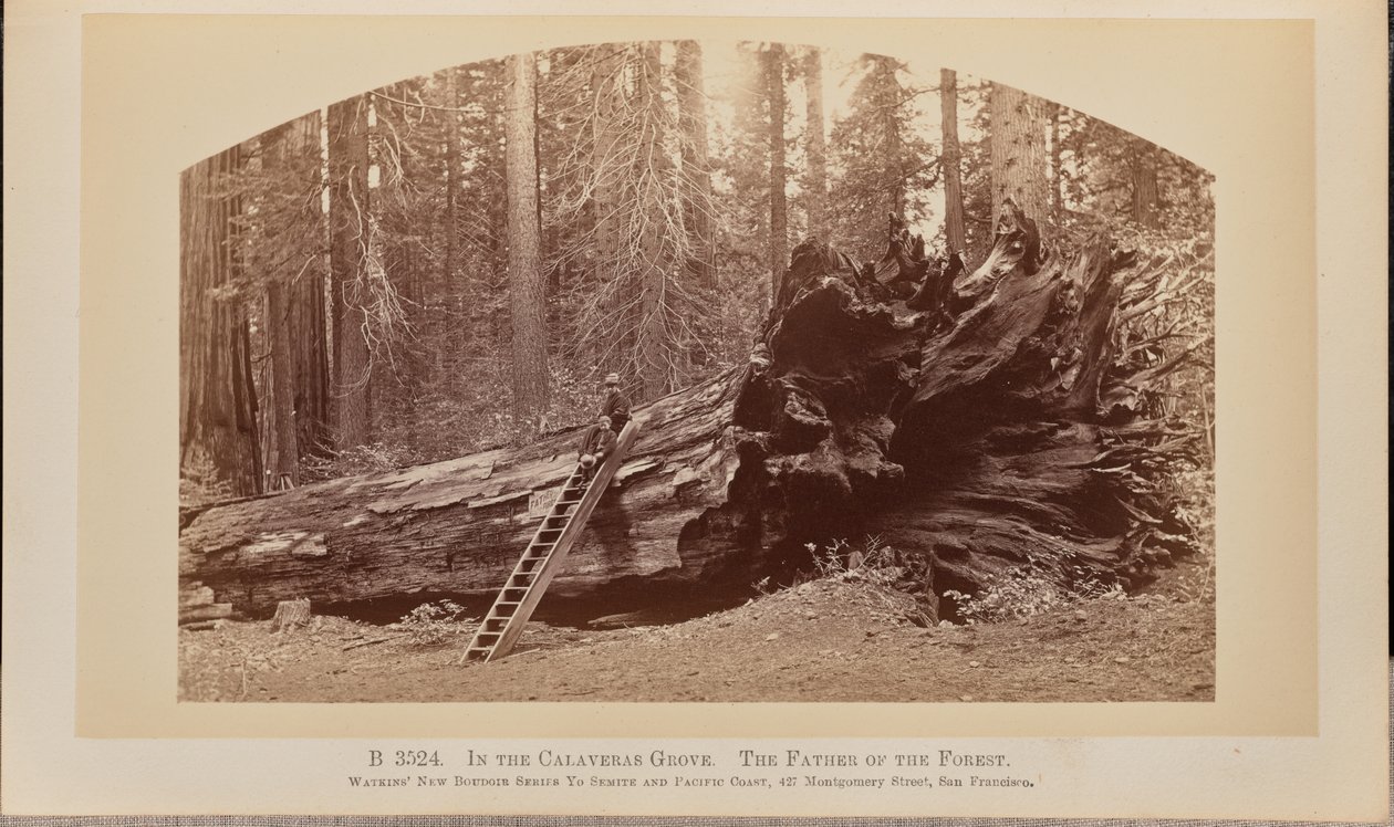  av Carleton Watkins