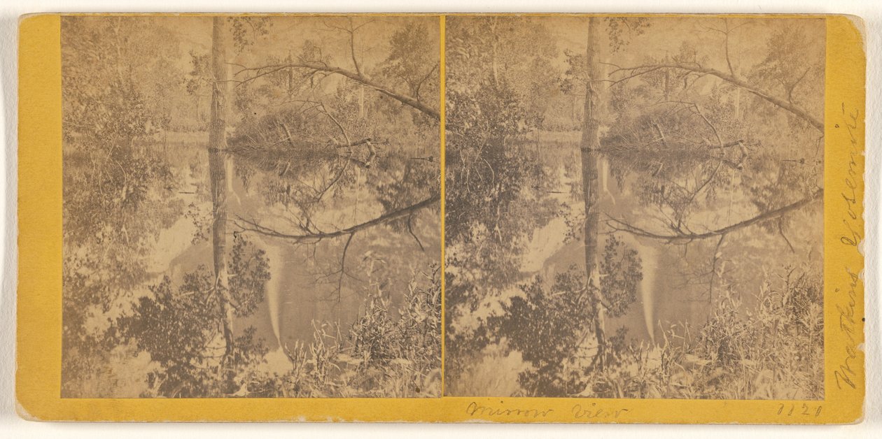  av Carleton Watkins
