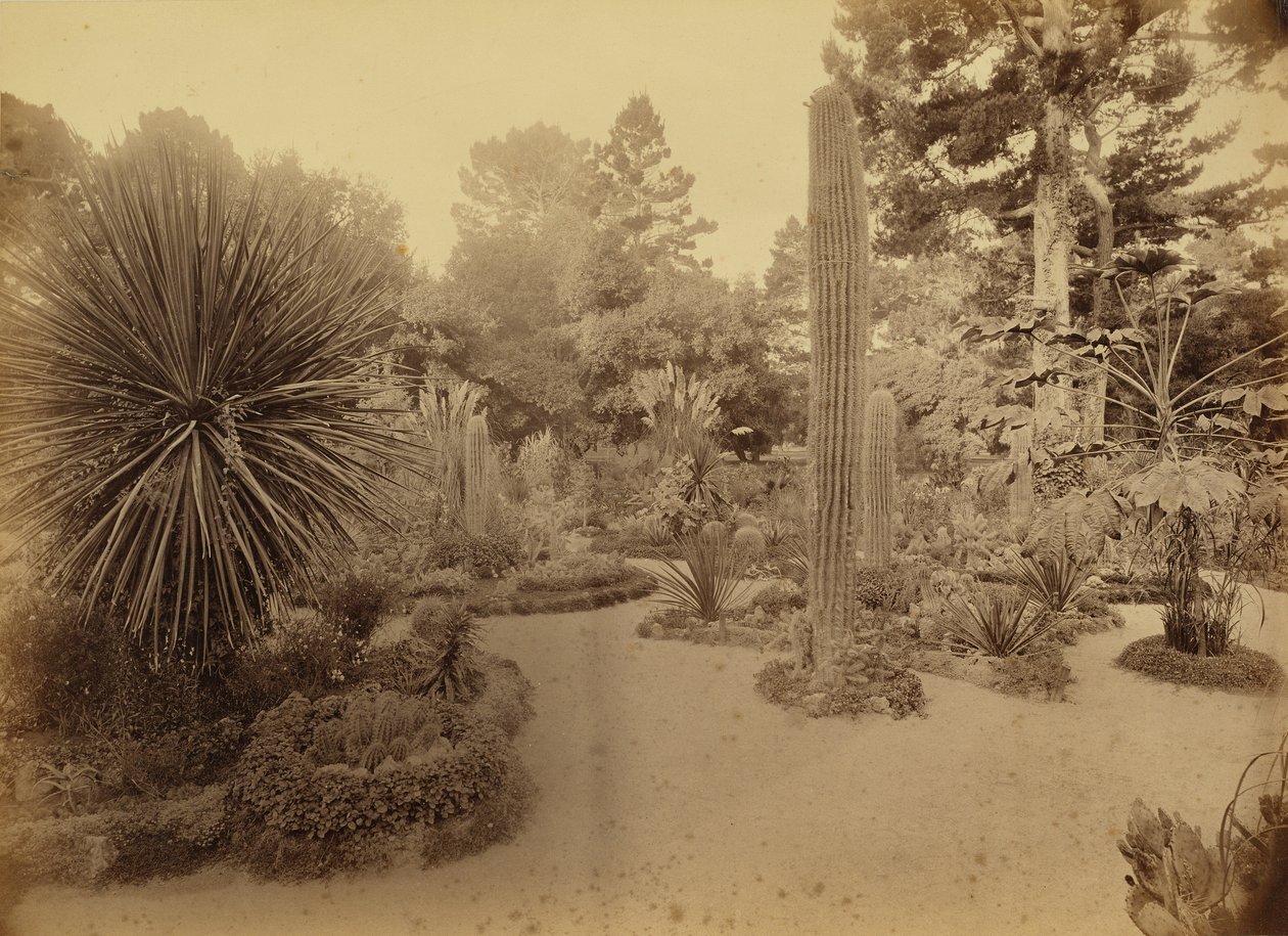  av Carleton Watkins