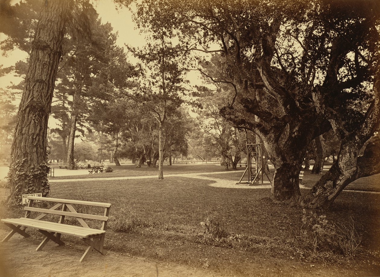  av Carleton Watkins