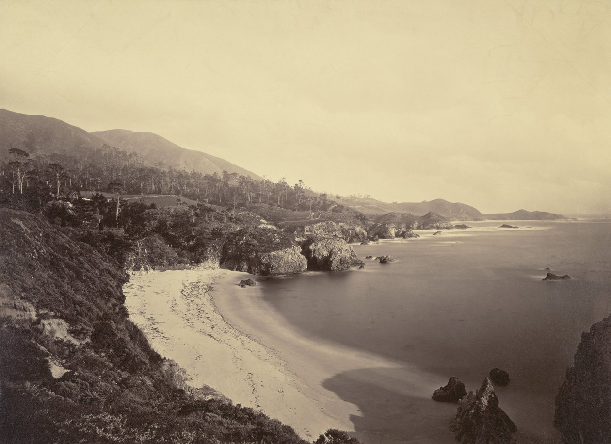  av Carleton Watkins