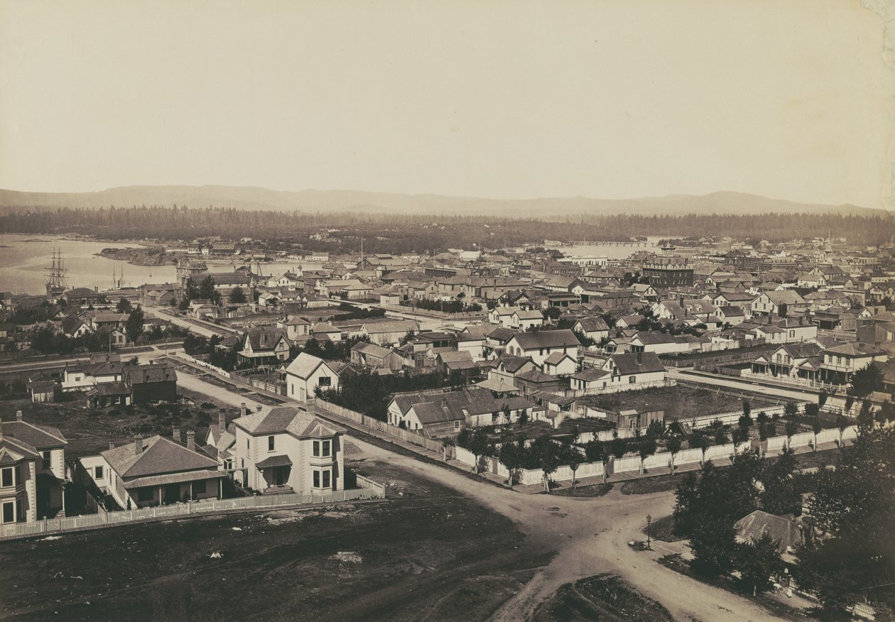 [Panorama over Victoria, B.C. - utsikt fra Christ Church nr. 2] av Carleton Watkins
