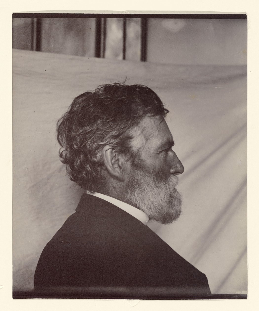 Portrett av George Davidson av Carleton Watkins