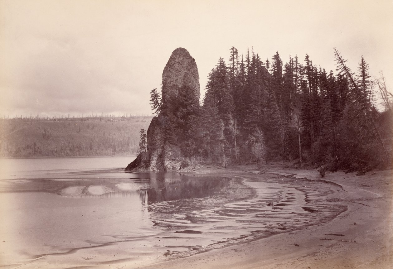 [Rooster Rock - Columbia-elven] av Carleton Watkins