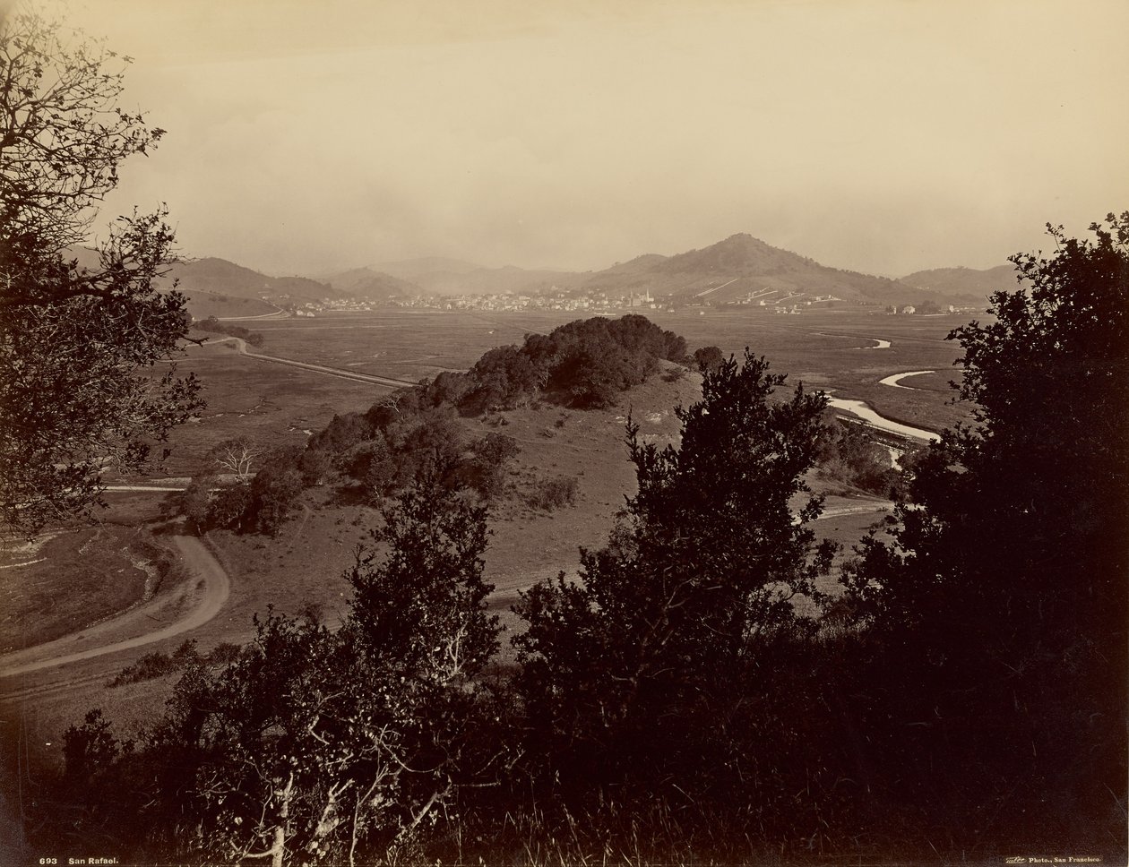  av Carleton Watkins