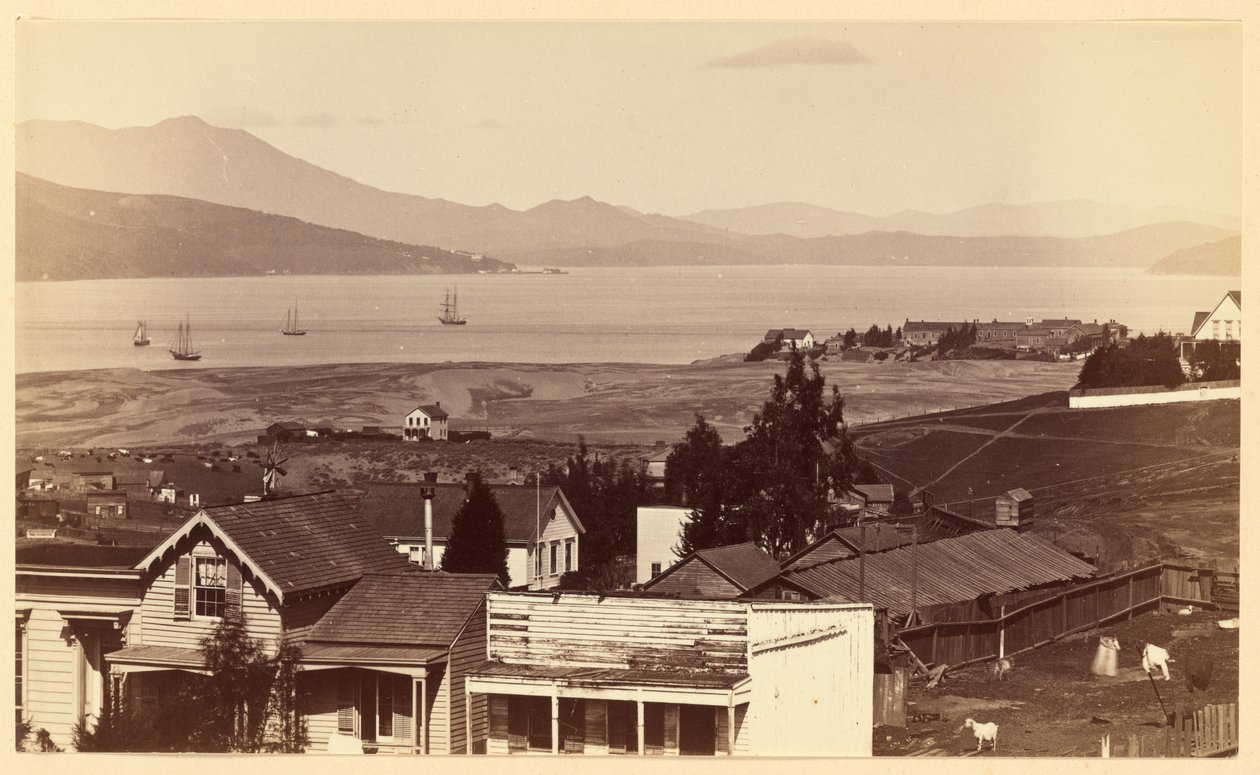  av Carleton Watkins