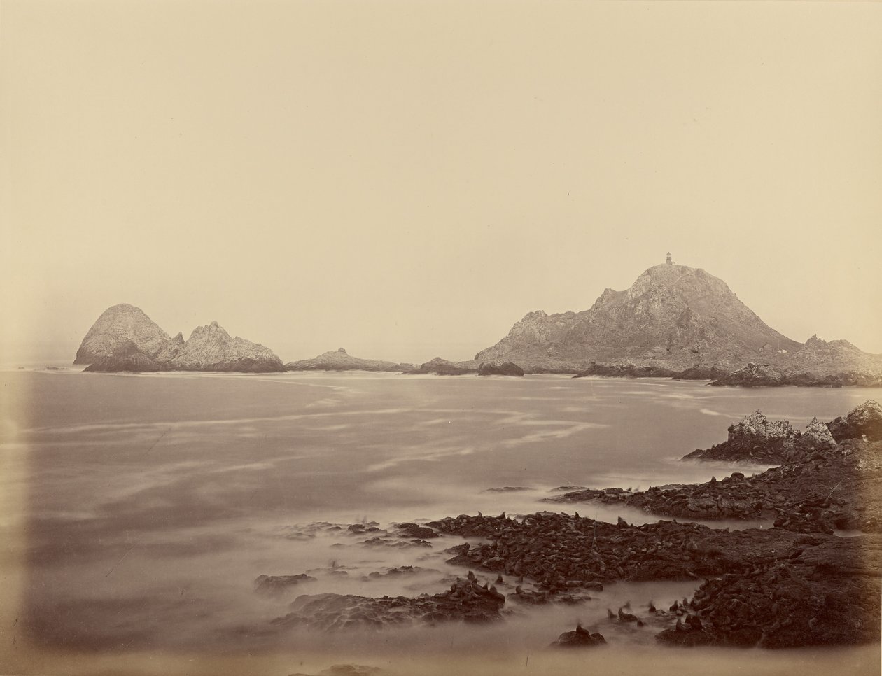Seal Point fra den vestlige enden av Farallones av Carleton Watkins