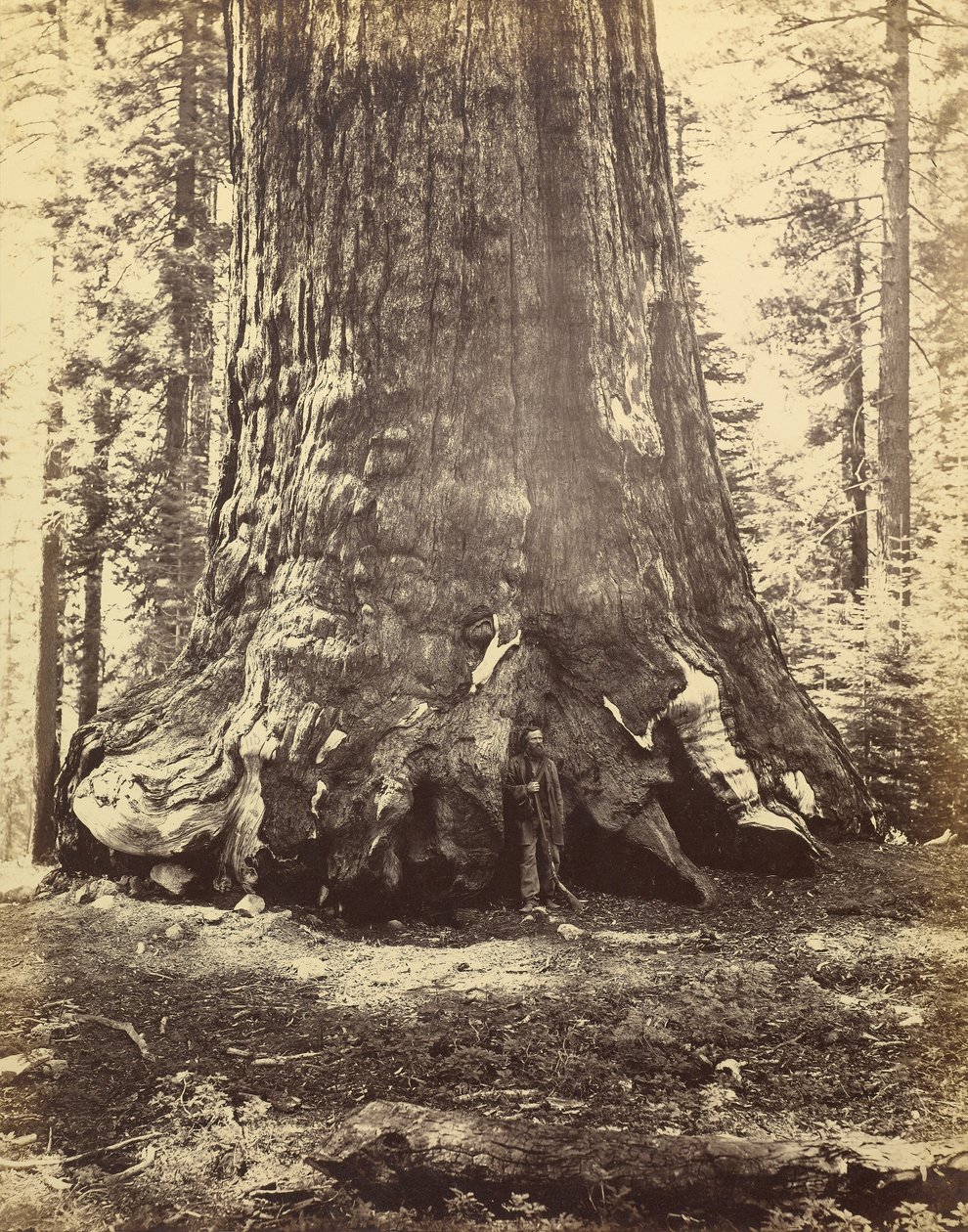  av Carleton Watkins