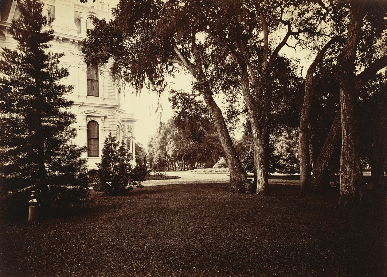  av Carleton Watkins