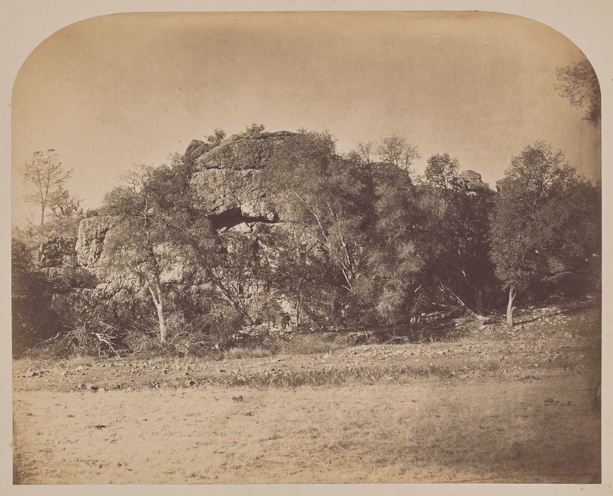  av Carleton Watkins