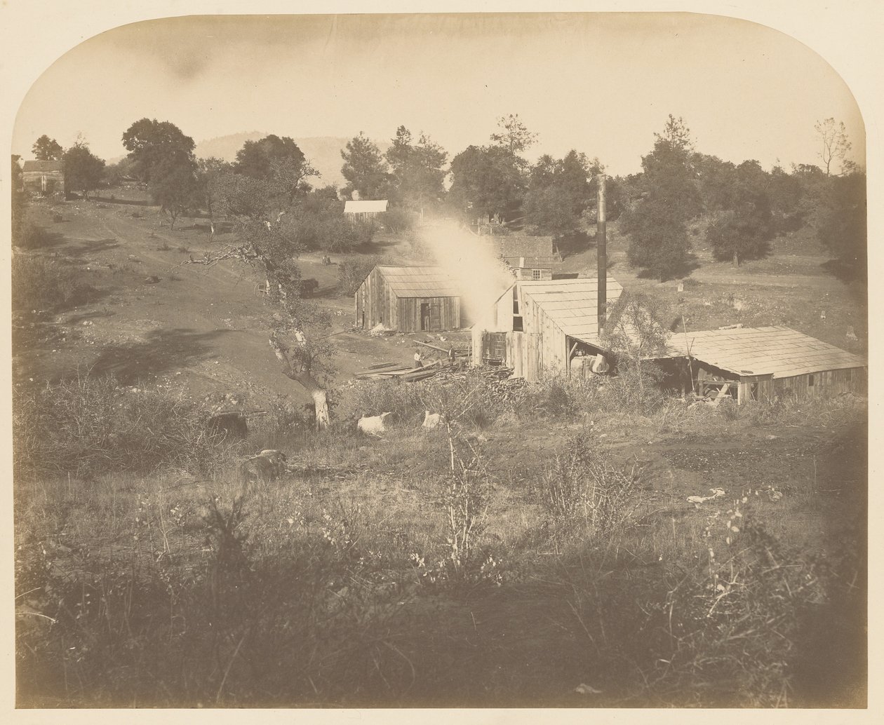[Turners mølle] av Carleton Watkins