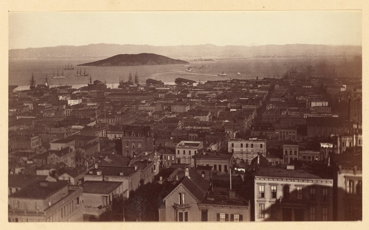 [Utsikt fra Cal St. Hill, S.F. / 3733] av Carleton Watkins