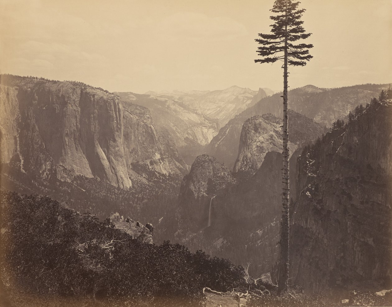 [Yosemite-dalen fra det beste oversiktspunktet] av Carleton Watkins