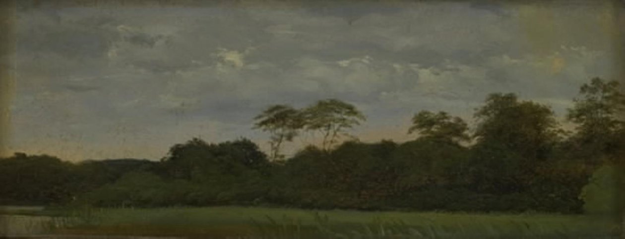 En eng ved et skogsvann av Carlo Dalgas