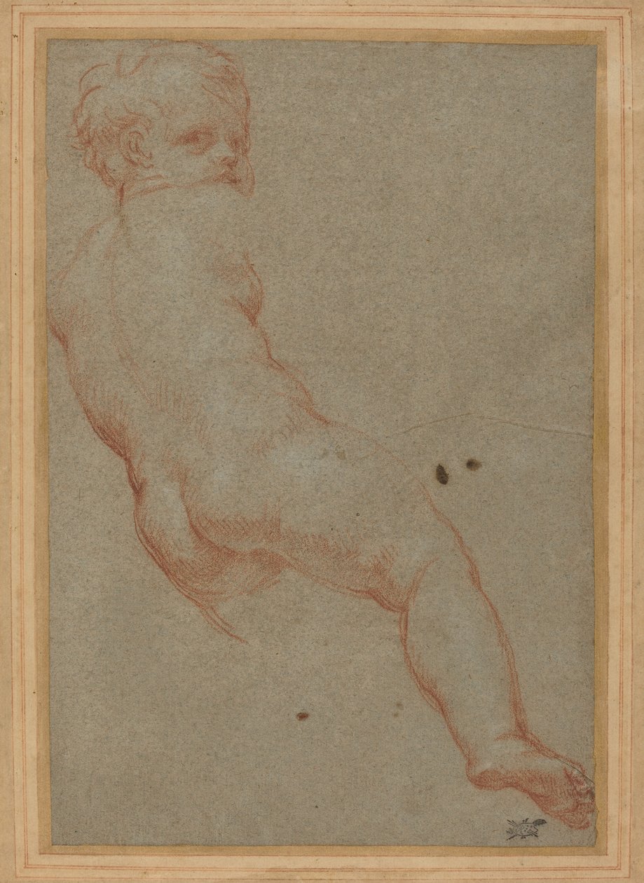 Studie av en ung gutt av Carlo Maratta