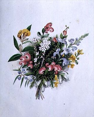 Posy of Summer Flowers, 1800-tallet av Caroline Louisa Meredith