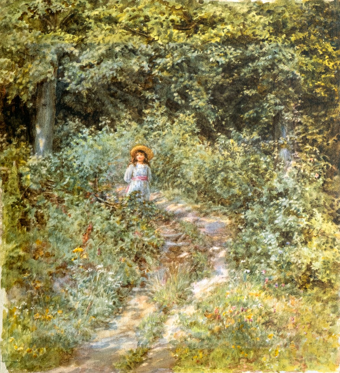  av Caroline Paterson