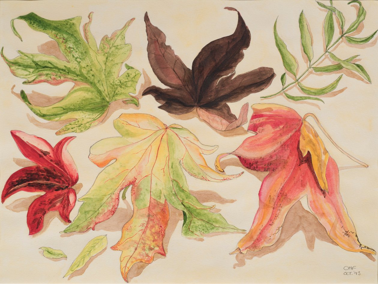 Autumn Leaves, 1993 (wc på papir) av Carolyn Hubbard Ford