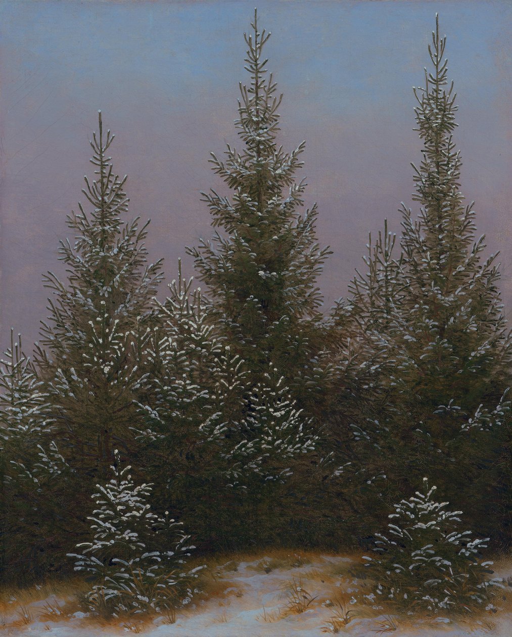Grankratt i snøen (Fra Dresdner Heide I) av Caspar David Friedrich