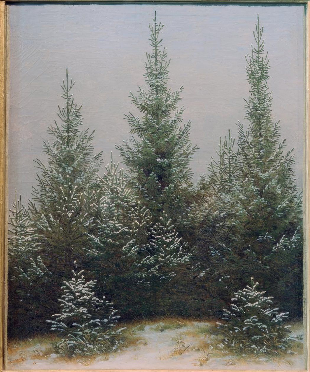 Grankratt i snøen av Caspar David Friedrich