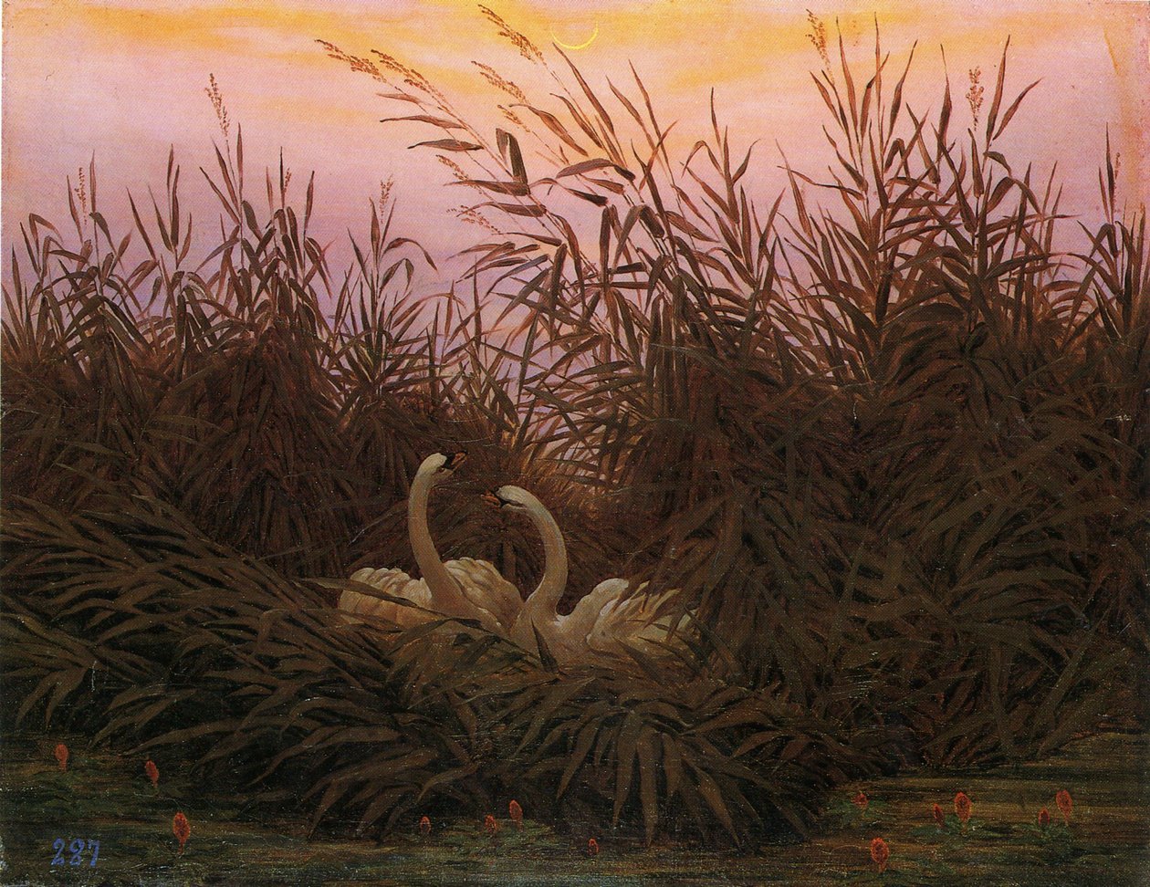  av Caspar David Friedrich