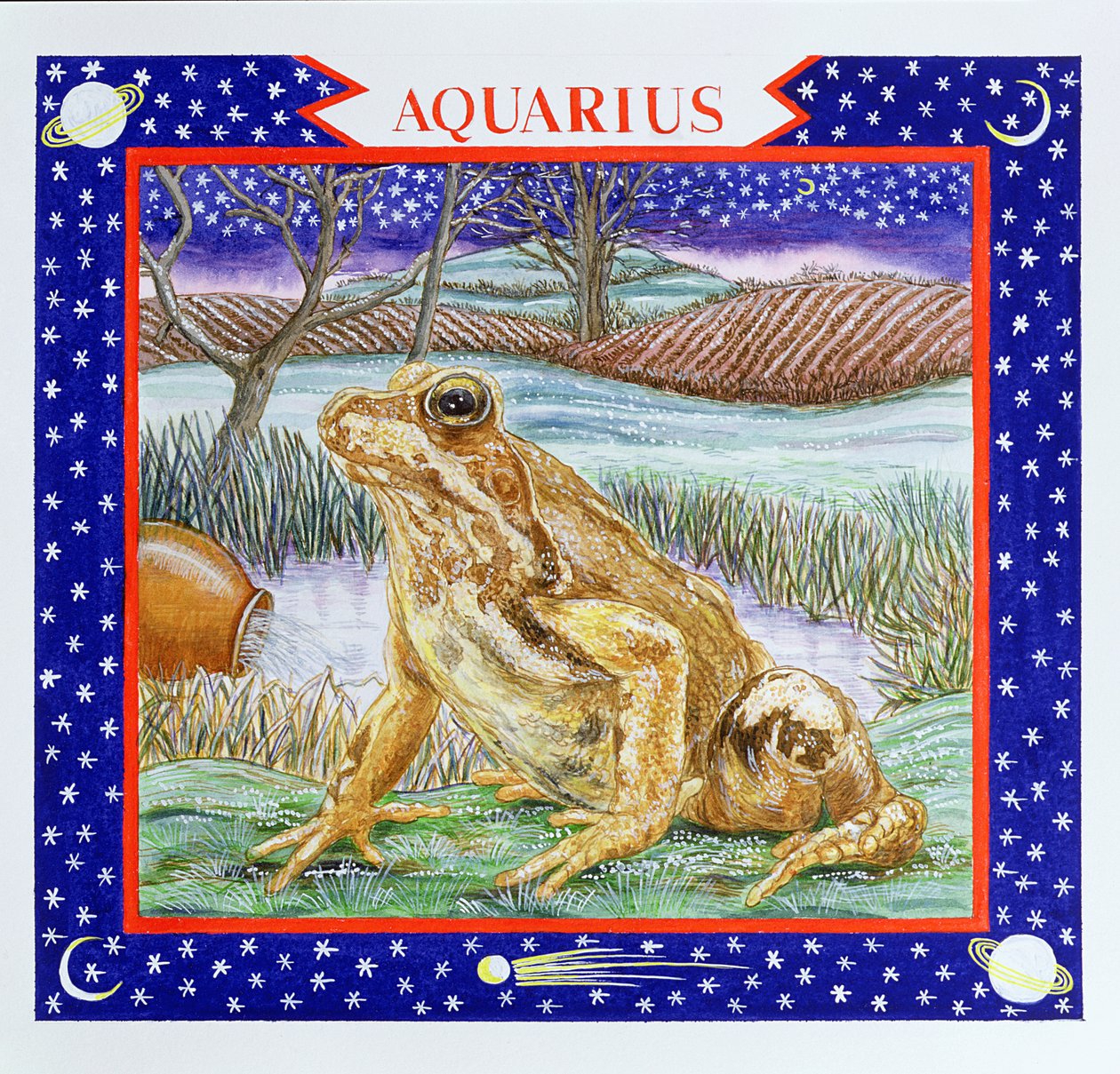 Aquarius (wc på papir) av Catherine Bradbury