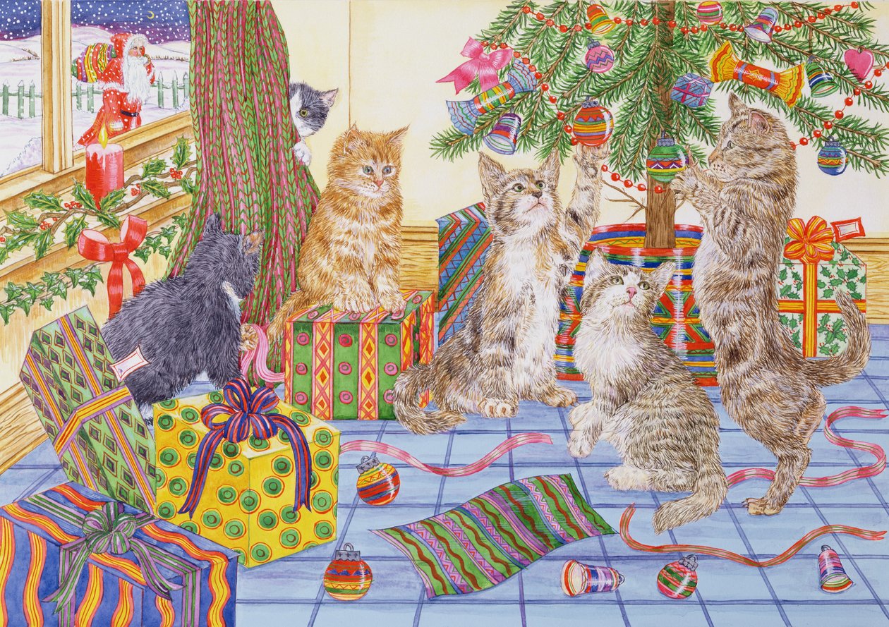The Cats Christmas (wc på papir) av Catherine Bradbury