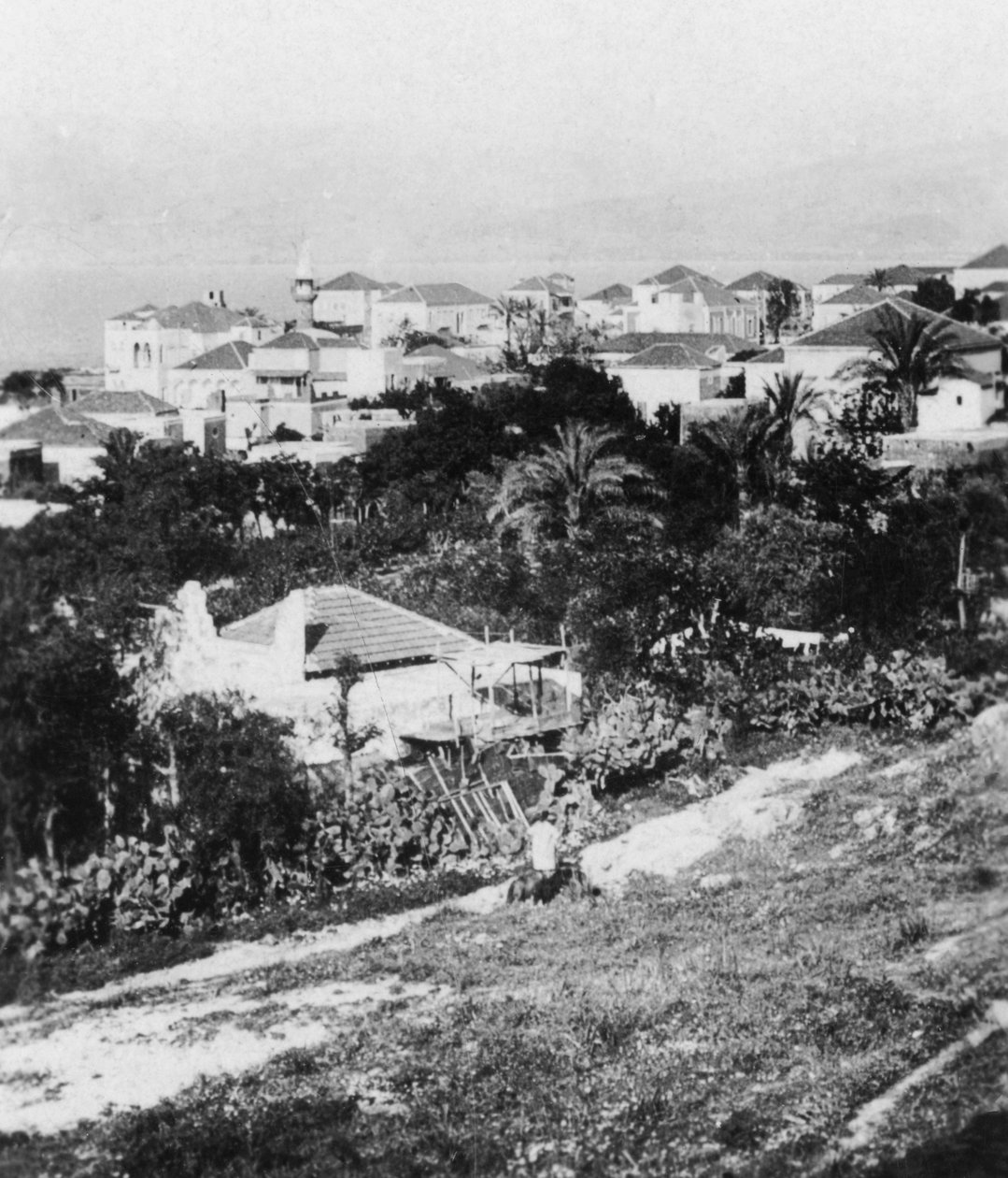 Beirut fra American College, Libanon, c1927-c1931. av Cavanders Ltd