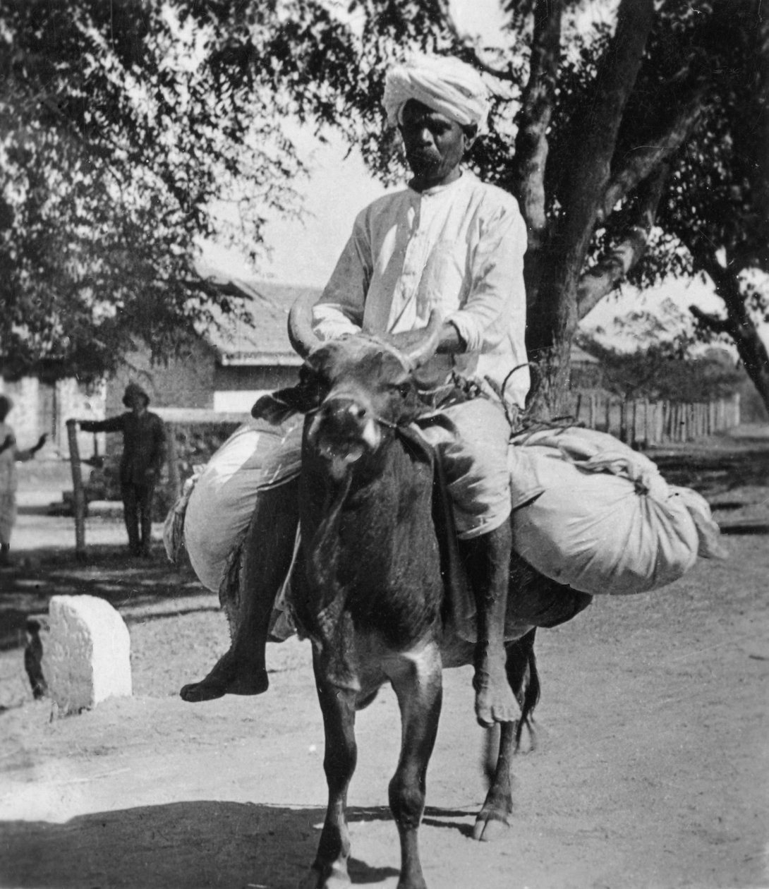 Vaskemannen, India, slutten av 1800- eller begynnelsen av 1900-tallet. av Cavanders Ltd