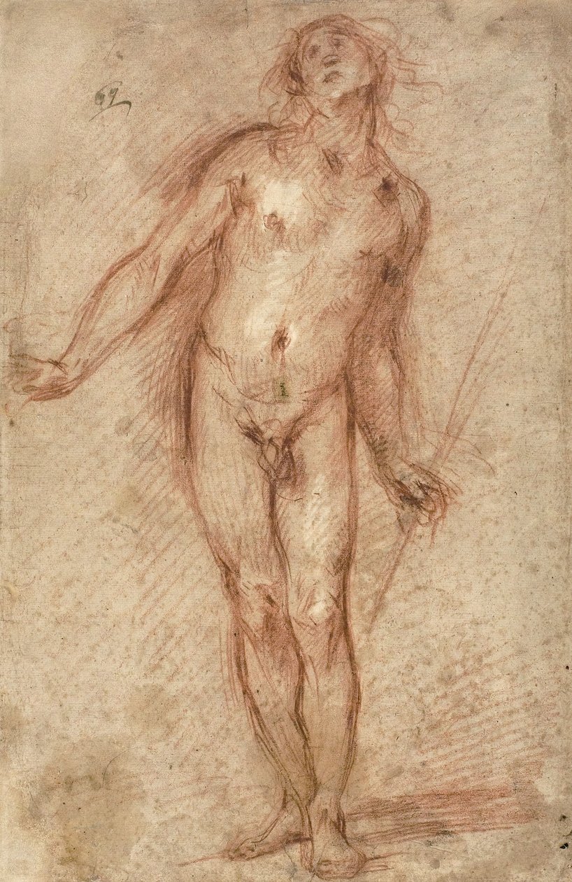 Stående mann naken, 1637-38 av Cecco Bravo