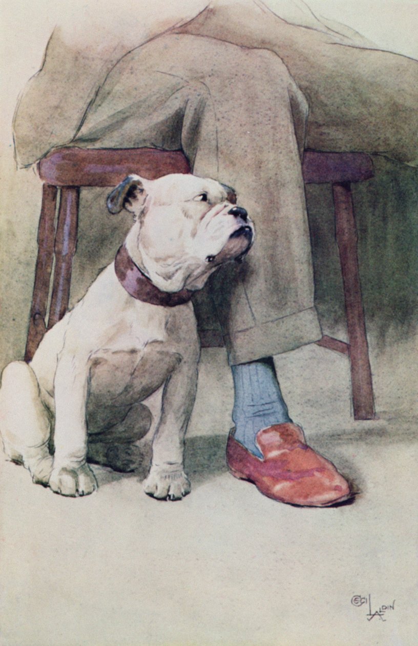 Bulldog (penn og blekk og vask på papir) av Cecil Charles Windsor Aldin